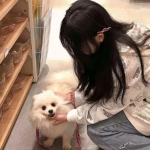 欢迎使用乐鱼App